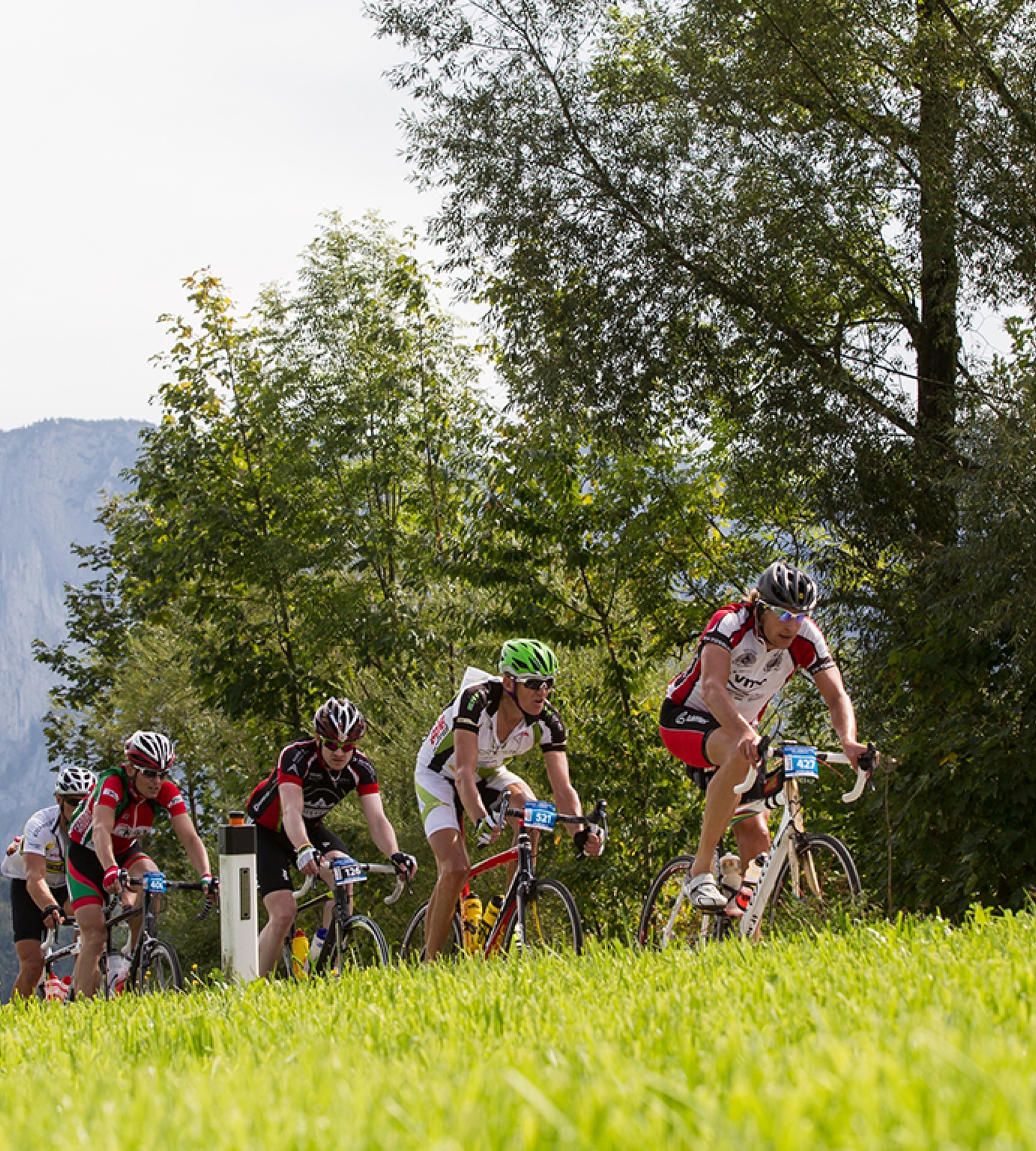 Radrennfahrer fahren eine grüne Wiese hinauf, im Hintergrund Bäume und Berge.