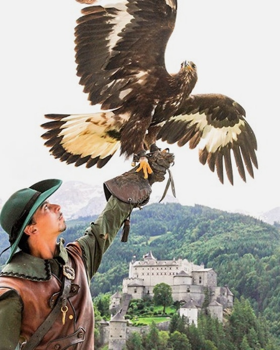 Ein Falkner in Tracht hält einen Steinadler vor der Kulisse der Burg Hohenwerfen in Österreich.