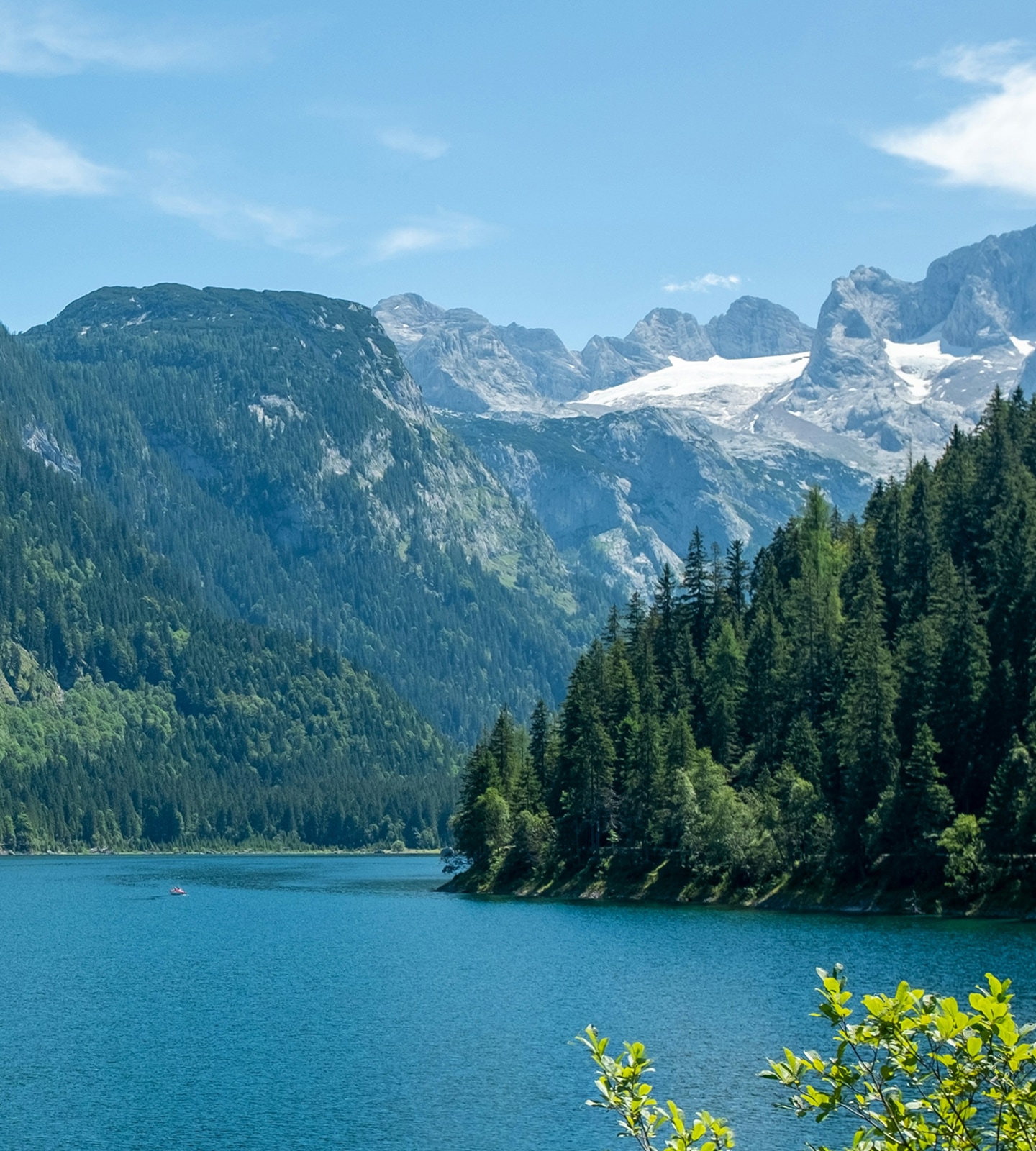 Blick über den blauen Gosausee auf bewaldete Berghänge und den schneebedeckten Dachstein.