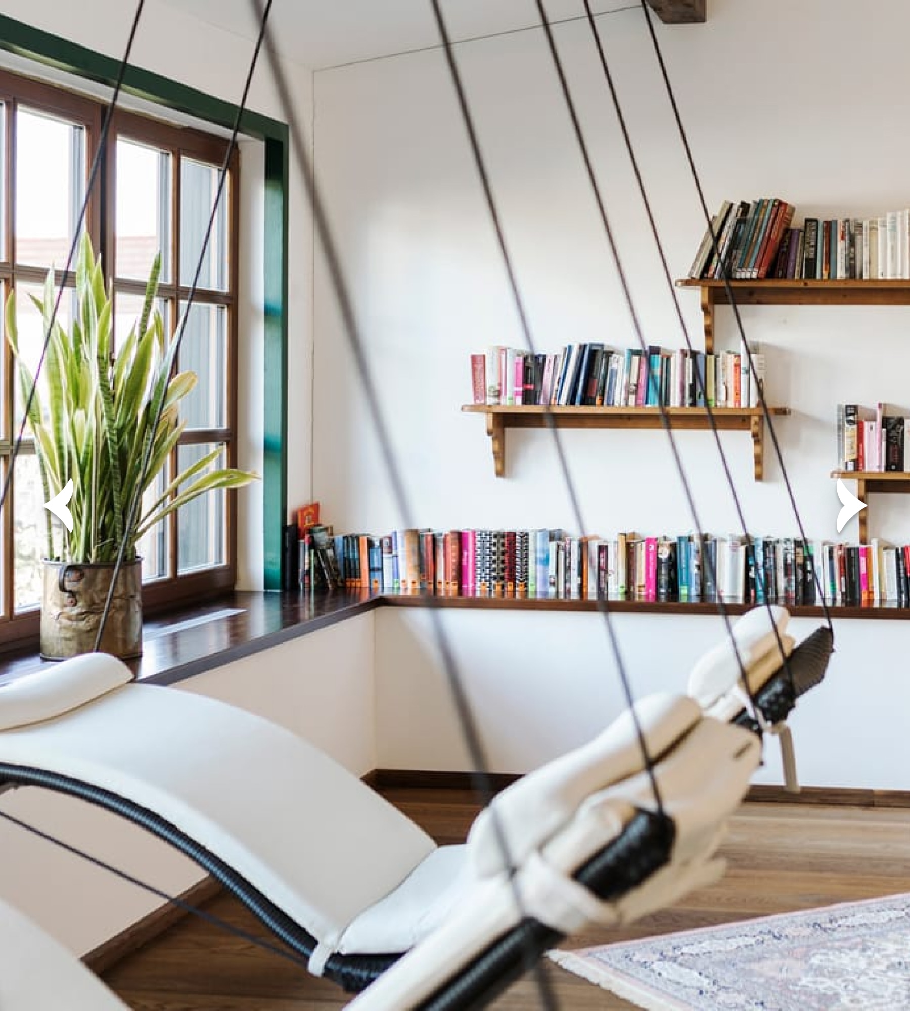 Hängende Liegestühle in einer gemütlichen Leseecke mit Bücherregalen und einer großen Pflanze am Fenster.