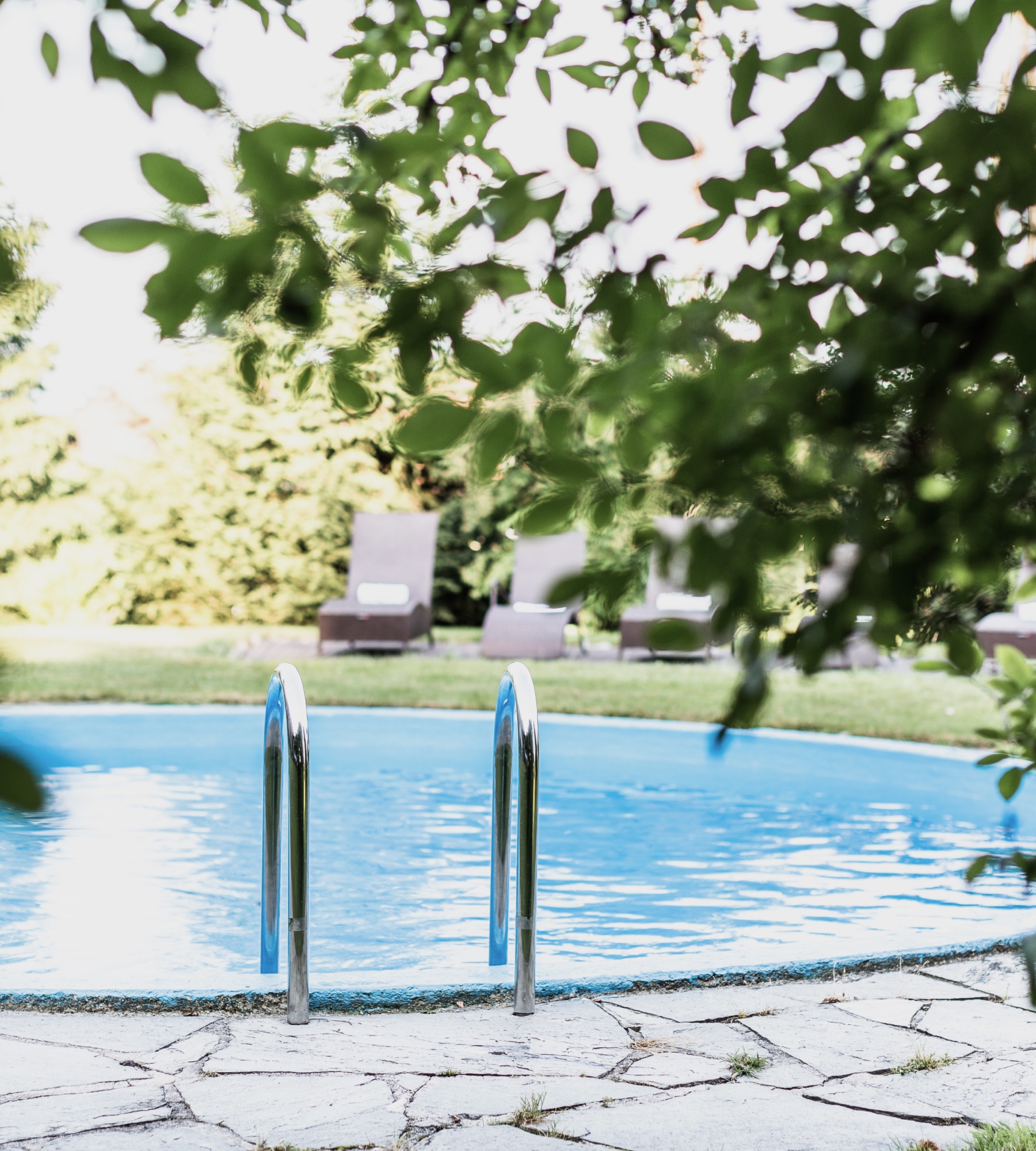 Runder blauer Pool mit Einstiegsleiter im Garten, im Hintergrund Liegestühle hinter grünen Blättern.